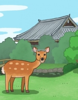 Nara Deer Story