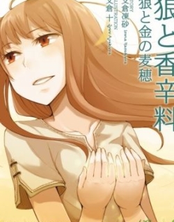 Spice and Wolf II: Wolf and the Amber Melancholy